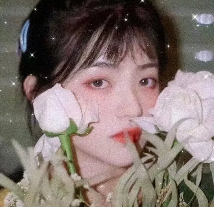 绅士爱美人